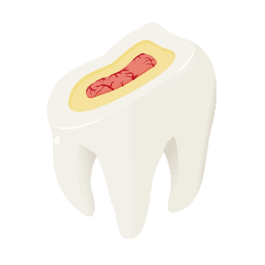 tooth layers