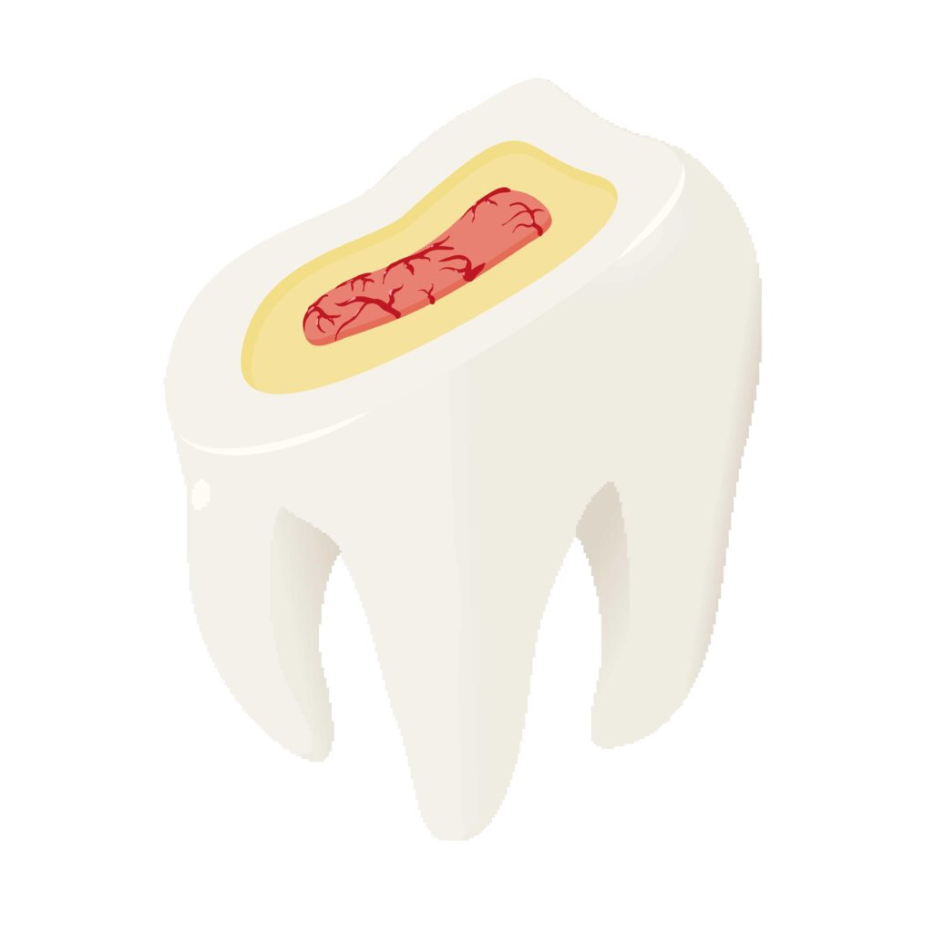 three layers of a tooth